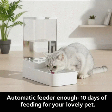 Automatic Feeder